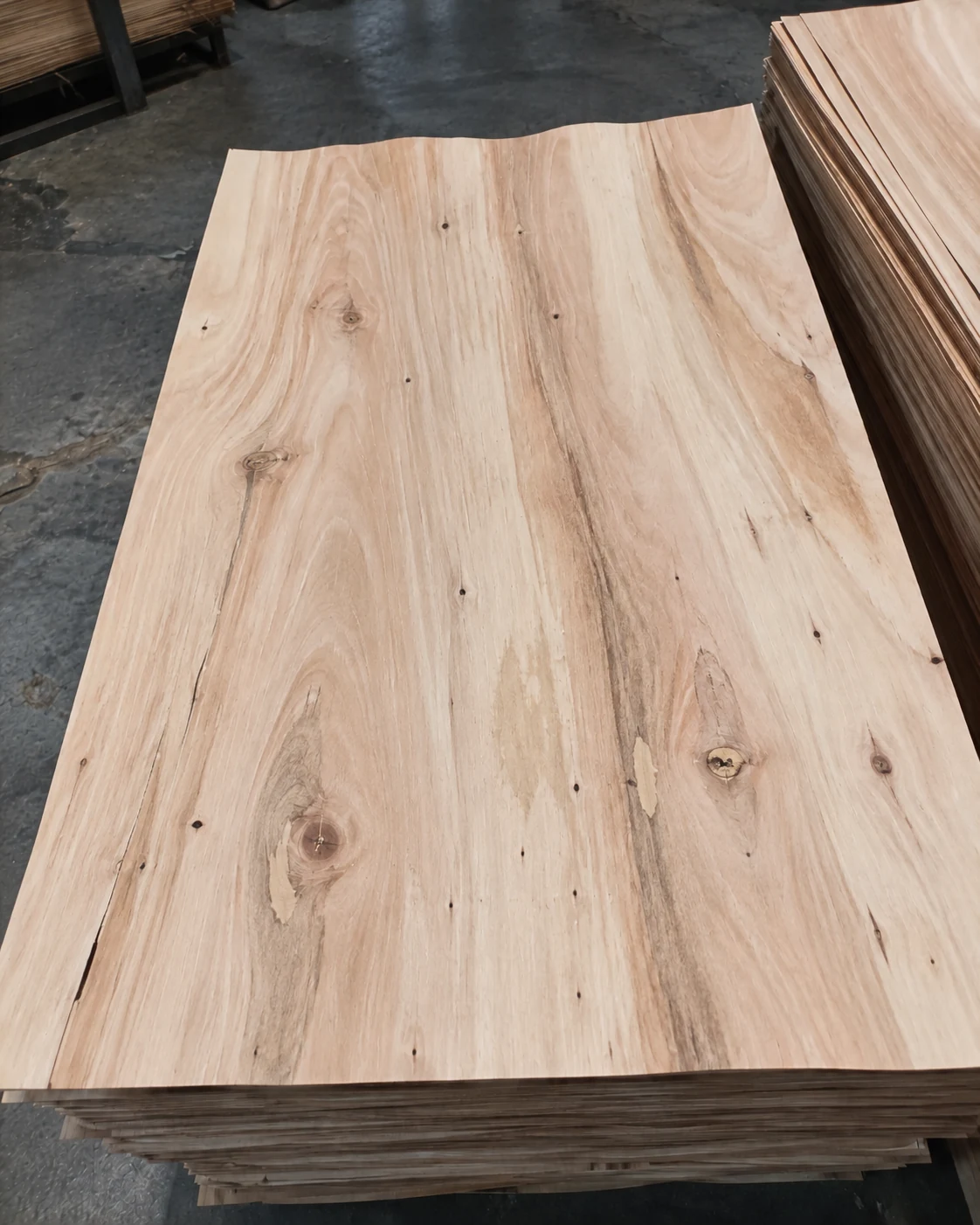 Eucalyptus rotary-cut veneer – Grade C appearance